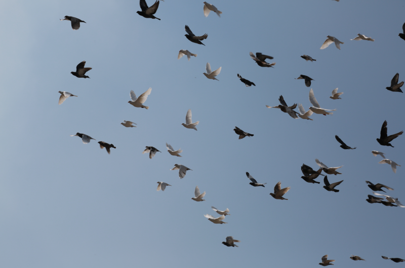 图片6.png 图片6.png